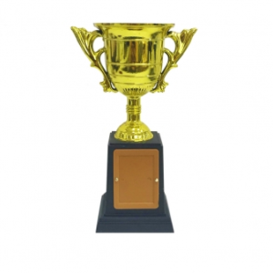 Troféu Jeb's 1029 Taça
